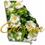 Magnet - Sculptural - GEORGIA Cutout<br><div class="desc">Though sometimes called the "Empire State of the South", Georgia's official nickname is "The Peach State". No wonder. Georgia is the Number One producer of peanuts, pecans and peaches. The Cherokee Rose, lovely and fragrant, has a sad tale associated with it. A tragic event, in 1838, in which thousands of...</div>