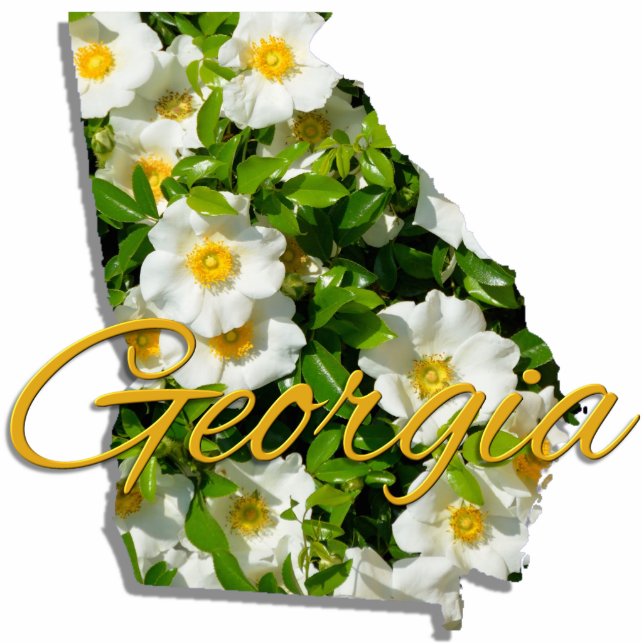 Magnet - Sculptural - GEORGIA Cutout (Front)