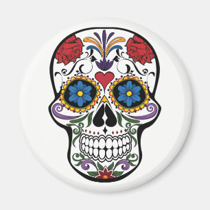 Magnet. Skeleton. Magnet