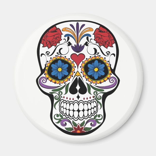 Magnet. Skeleton. Magnet (Front)