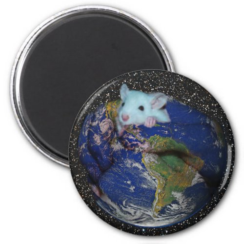 Magnet Starry World Rat Magnet