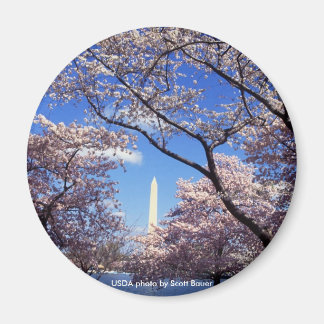 Magnet / Washington Monument