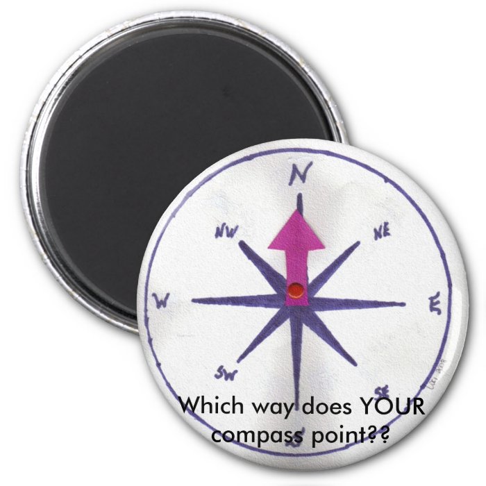 Magnet , Which way does YOUR compass point??
