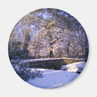 Magnet: Winter Wonderland Magnet