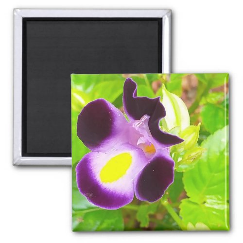Magnet with a natural flower