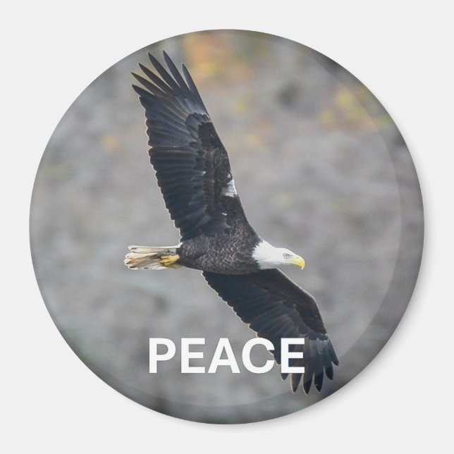 Magnet with Bald Eagle picture and the word Peace (Front)