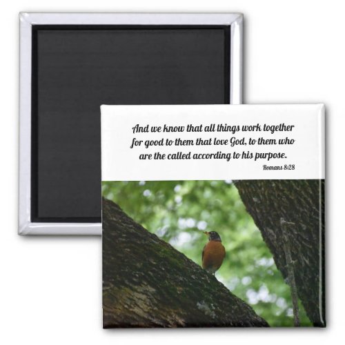 Magnet with Bible Verse  Robin