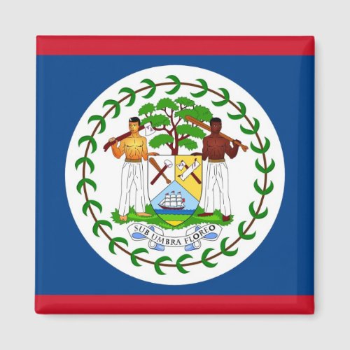 Magnet with Flag of Belize