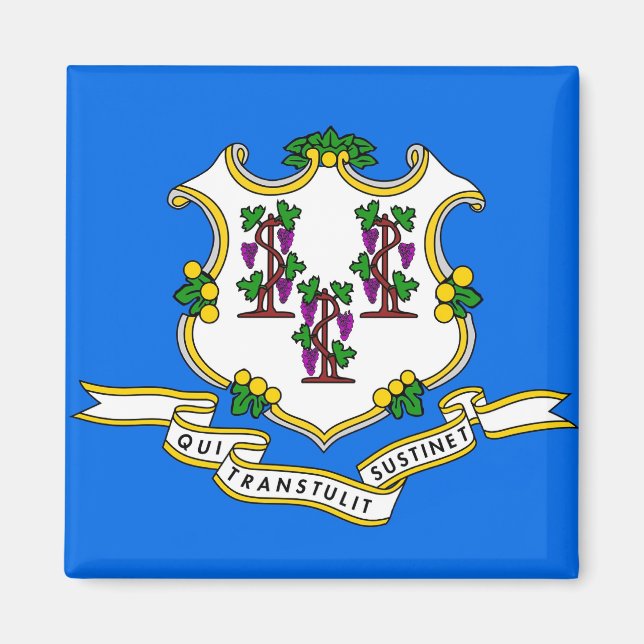 Magnet with Flag of  Connecticut State - USA (Front)