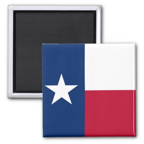 Magnet with Flag of Texas State _ USA