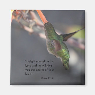 magnet with hummingbird - delight in the Lord