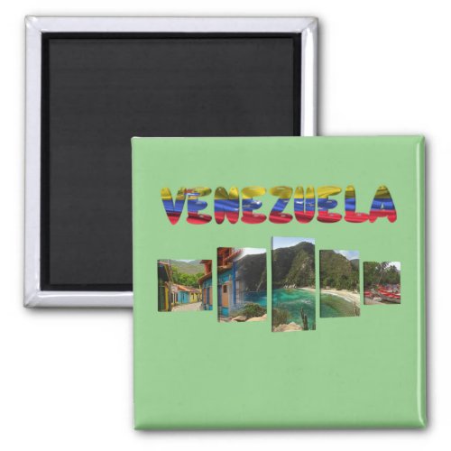 Magnet with Landscape of Venezuela