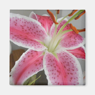 MAGNET WITH PINK LILY