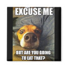 MAGNET WITH SAYINGS MAGNET WITH SAYINGS