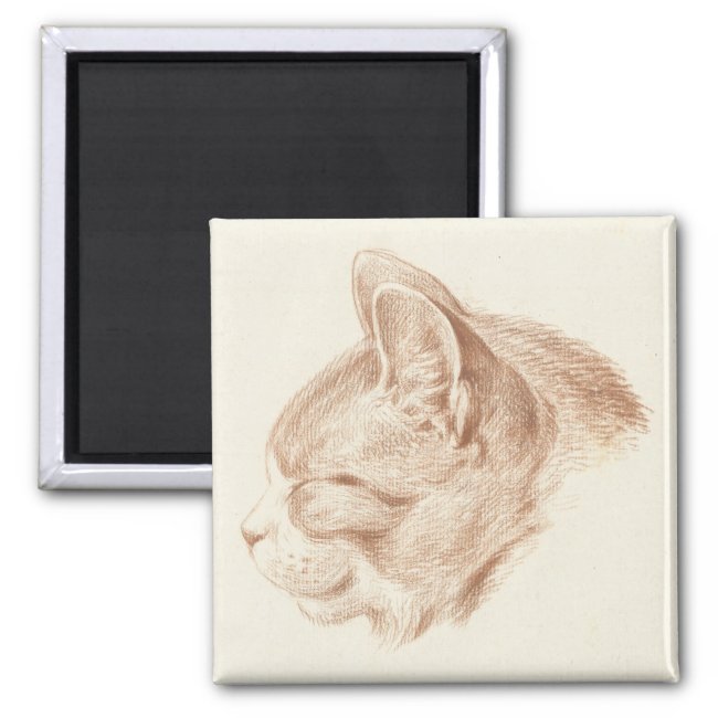Magnet with vintage, 19th century drawing of a cat