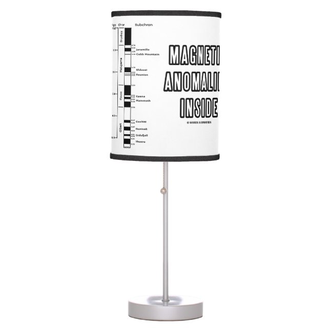 Magnetic Anomalies Inside Geomagnetic Polarity Table Lamp (Front)