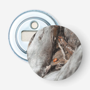 Magnetic bottle opener with a ladybug photo