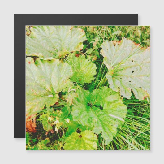 Magnetic Card (Front/Back)