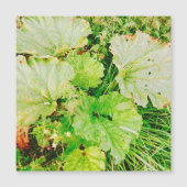 Magnetic Card (Front)