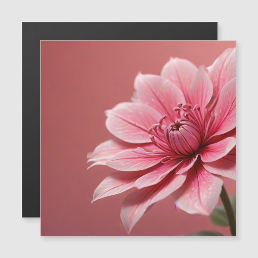 Magnetic Card (Front/Back)