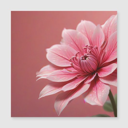 Magnetic Card (Front)