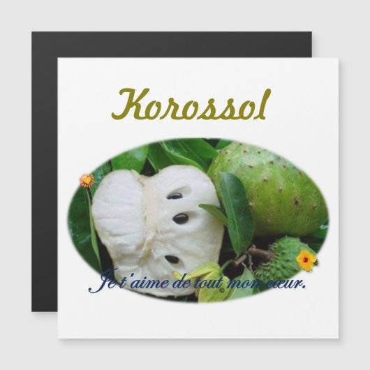 magnetic card (Front/Back)