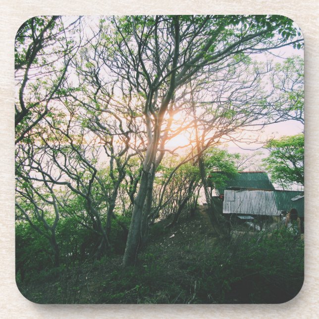 Magnetic Card Beverage Coaster (Front)