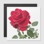 Magnetic Card of a Hand-painted Red Rose (Front/Back)