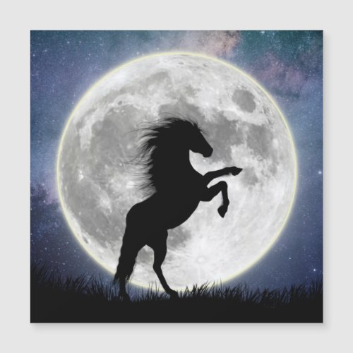 Magnetic card The horse and the white moon