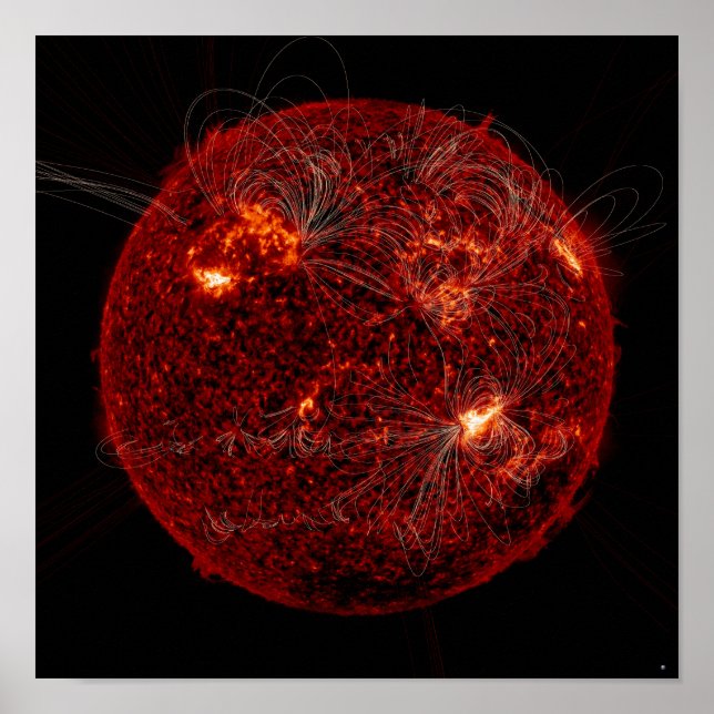 Magnetic field lines on the Sun 3 Poster (Front)
