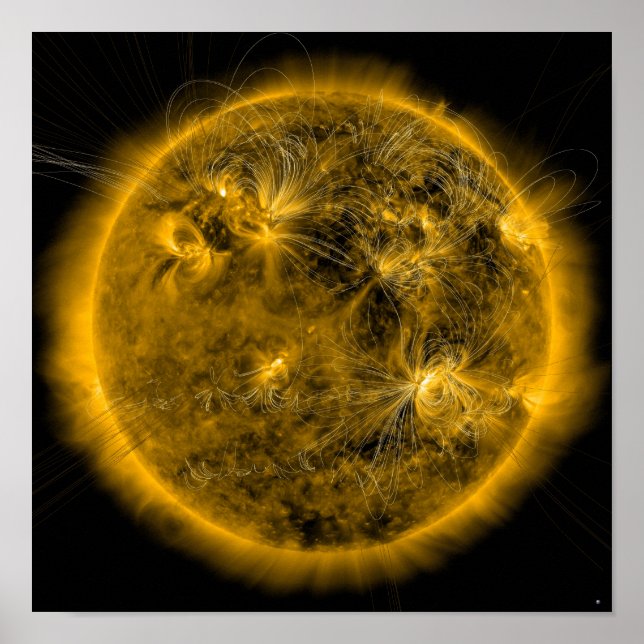 Magnetic field lines on the Sun Poster (Front)