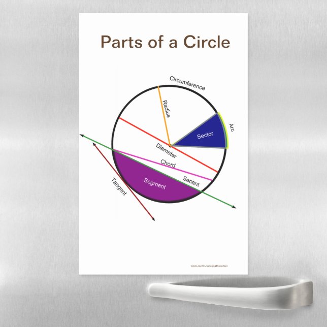 Magnetic Geometry Poster: Properties of a Circle Magnetic Dry Erase Sheet (In Situ)