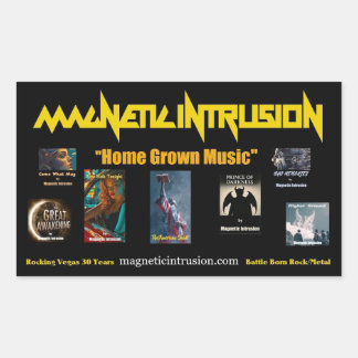 Magnetic Intrusion Sticker
