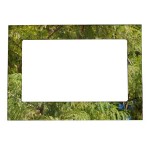 Magnetic Picture Frame
