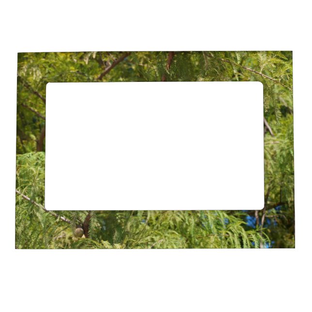 Magnetic Picture Frame (Front)