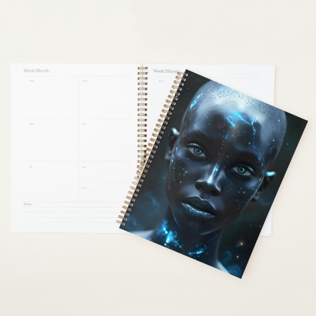 Magnetic Planner (Display)