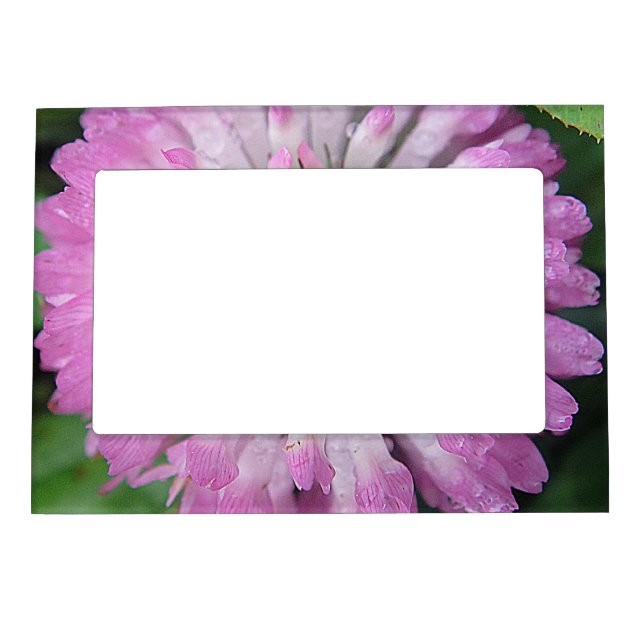 Magnetic spectrum framework pink Kleeblüte Photo Frame (Front)