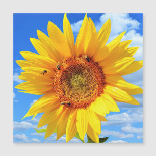 Magnetic Summer Card with Yellow Sunflower