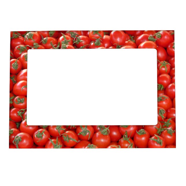 Magnetic Tomatoe Frame (Front)
