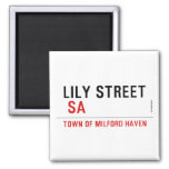 Lily STREET   Magnets (more shapes)