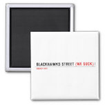 Blackhawks street  Magnets (more shapes)