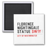 florence nightingale statue  Magnets (more shapes)