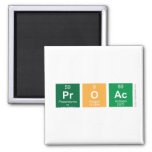 ProAc   Magnets (more shapes)