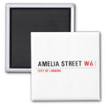Amelia street  Magnets (more shapes)