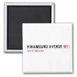 KwaMsunu Avenue  Magnets (more shapes)
