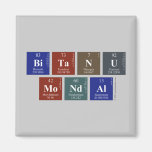 Bitanu
 Mondal  Magnets (more shapes)