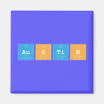 Austin  Magnets (more shapes)