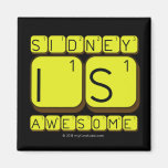 Sidney
 Is
 Awesome
   Magnets (more shapes)