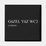 güzel yüz  Magnets (more shapes)