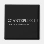 27 ANTEPLİ 001  Magnets (more shapes)